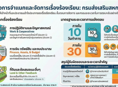 อินโฟกราฟิก ปี 2569 พารามิเตอร์รูปภาพ 13